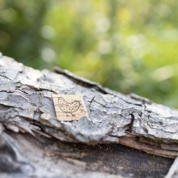 Label Wolliebe