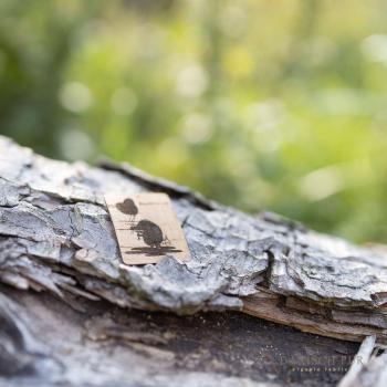 Label Wolliebe