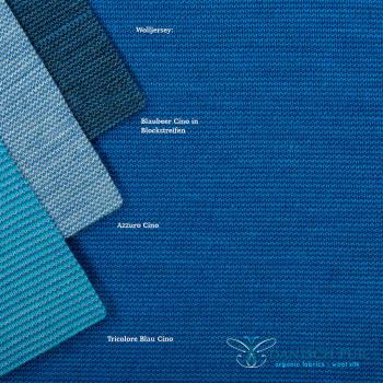 Preview: (Dickerer) Bio Wolljersey - Lagocino 2025